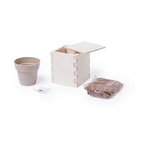VASO CON PIANTINA DI MENTA